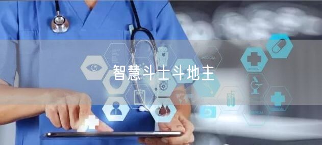 智慧斗士斗地主